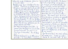 Comentarios de Ana María Foxley a Eduardo Carrasco sobre regreso a Chile